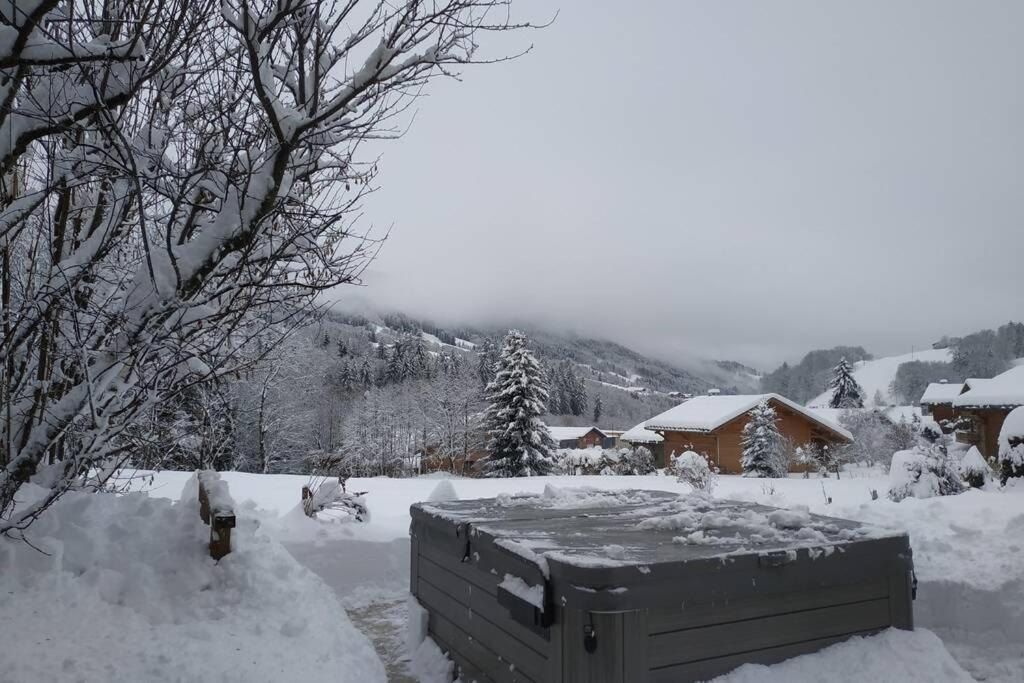 A4 Km De Megeve Tres Joli Studio Avec Jacuzzi ,Vue Sur Les Montagnes Au Calme Praz-sur-Arly Bagian luar foto