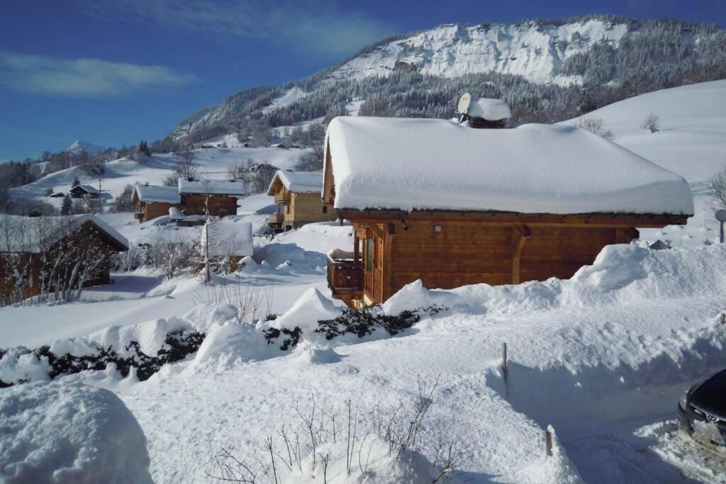 A4 Km De Megeve Tres Joli Studio Avec Jacuzzi ,Vue Sur Les Montagnes Au Calme Praz-sur-Arly Bagian luar foto