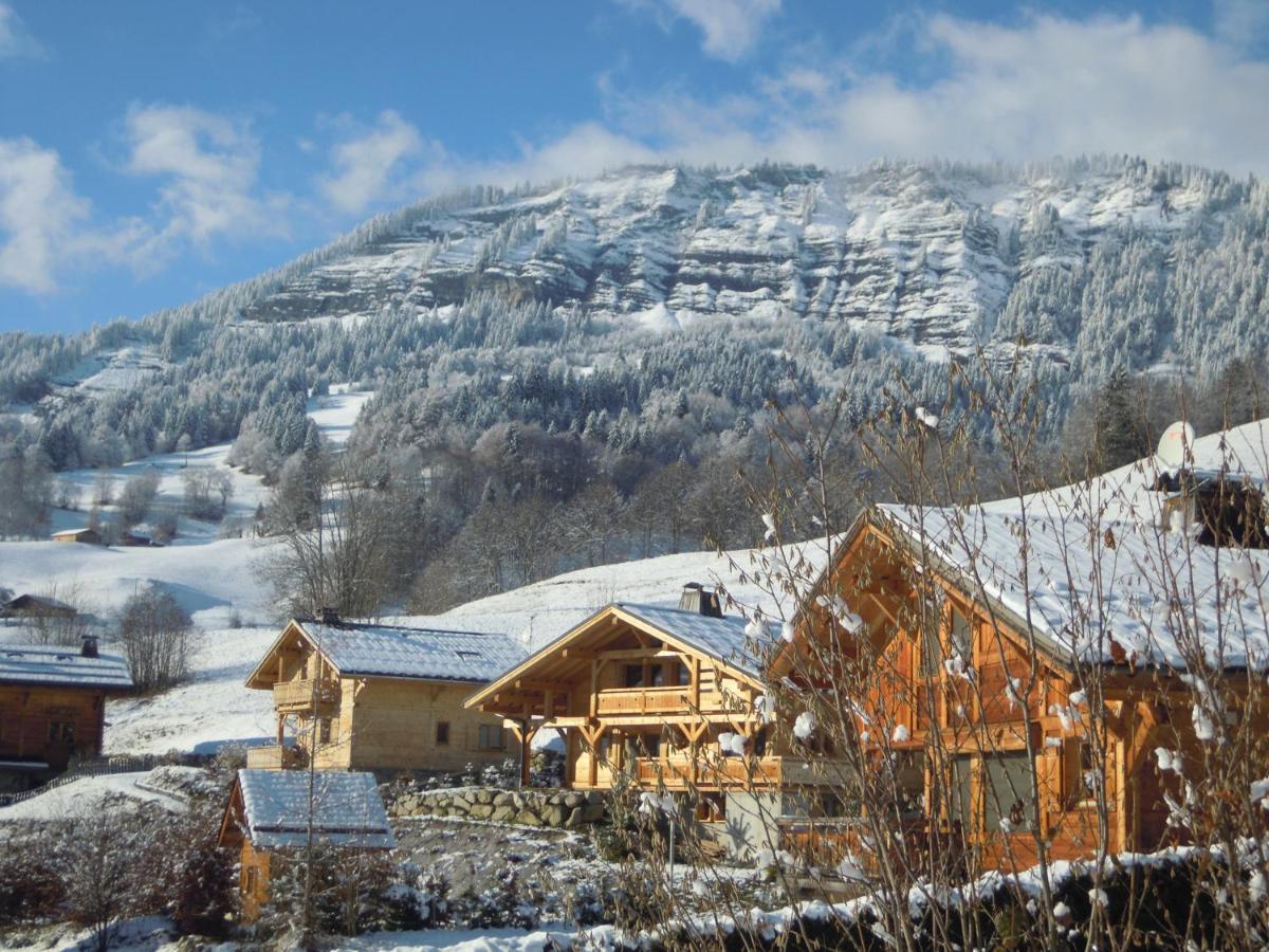 A4 Km De Megeve Tres Joli Studio Avec Jacuzzi ,Vue Sur Les Montagnes Au Calme Praz-sur-Arly Bagian luar foto