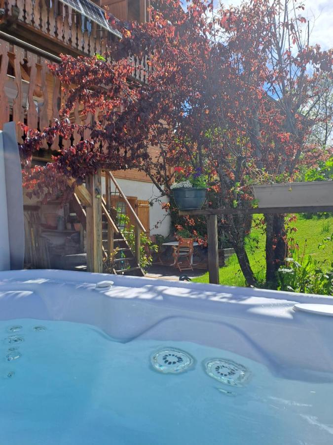 A4 Km De Megeve Tres Joli Studio Avec Jacuzzi ,Vue Sur Les Montagnes Au Calme Praz-sur-Arly Bagian luar foto